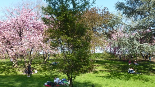 NYC, Central Park. A blue sky with shades of green and purple...