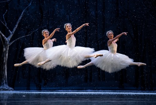 El Cascanueces - foto Carlos Quezada