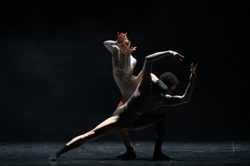 DHF_0899 - Le Train bleu - crédit David Herrero