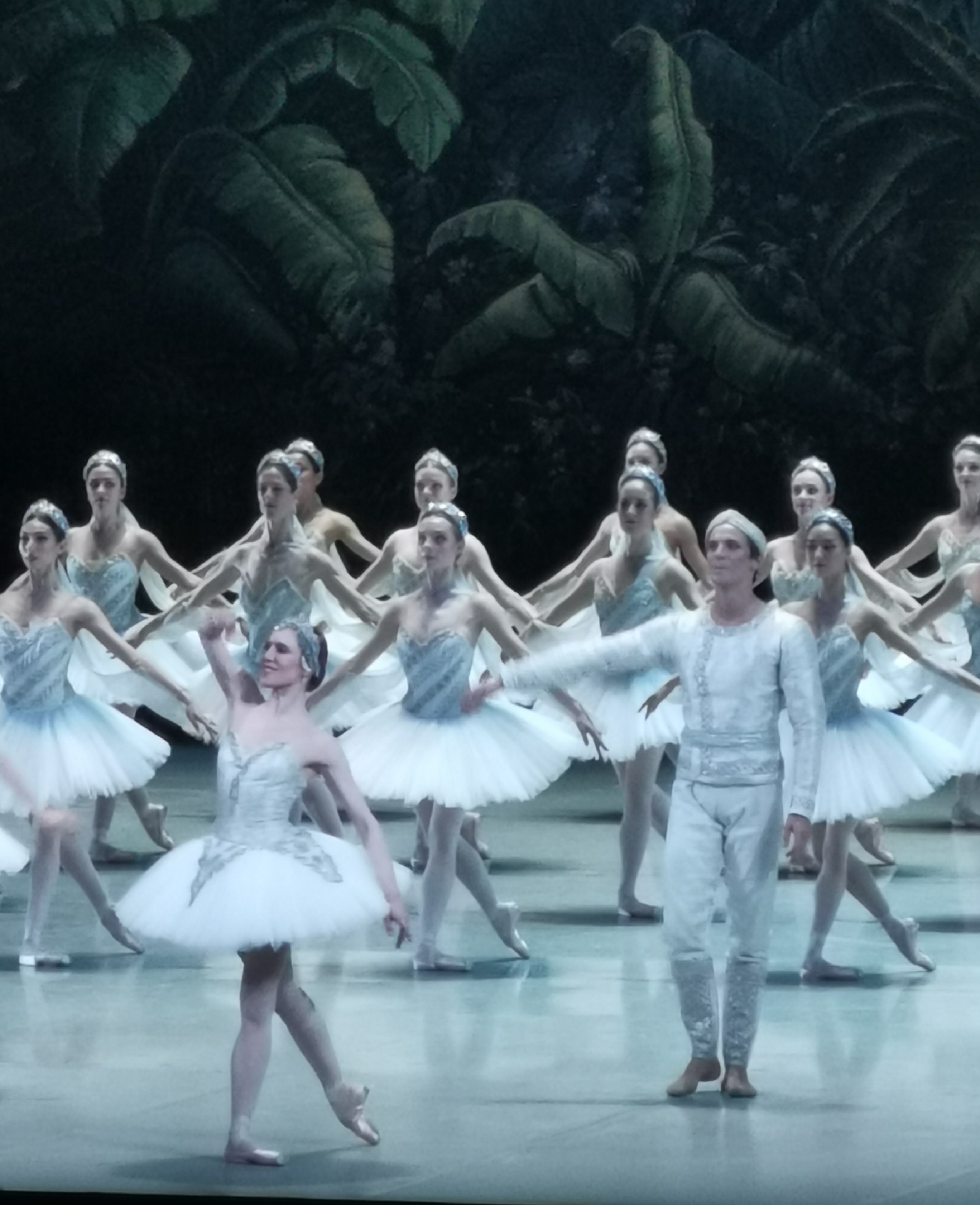 IMG_20220427_223132_1_edit_908370716048372