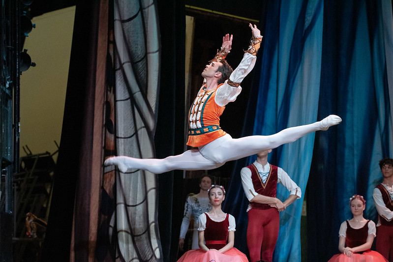 52970032463_323ef9f553_c