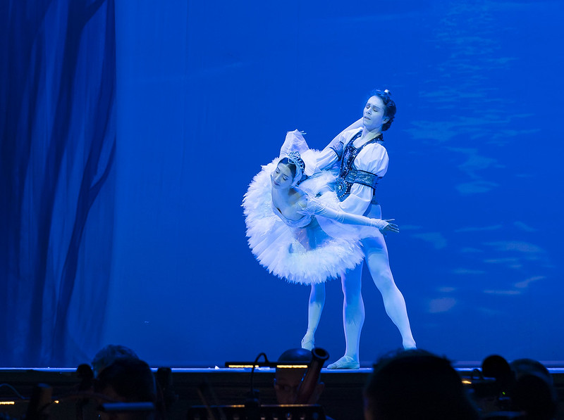 52979396427_f8db2046aa_c