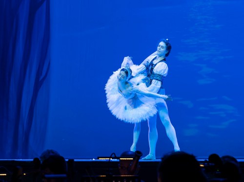 52979396427_f8db2046aa_c